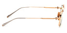 AKONI® Cassini Photochromic AKO Cassini Photochromic 304D 48 - Brushed Gold Sunglasses