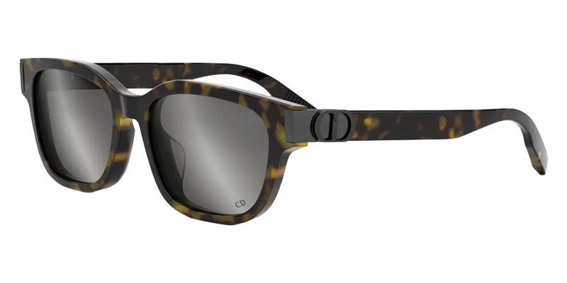 Dior® CD ICON S1F Sunglasses - 20A4