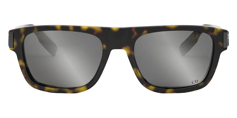 Dior® CD ICON S3I Sunglasses - 20A4