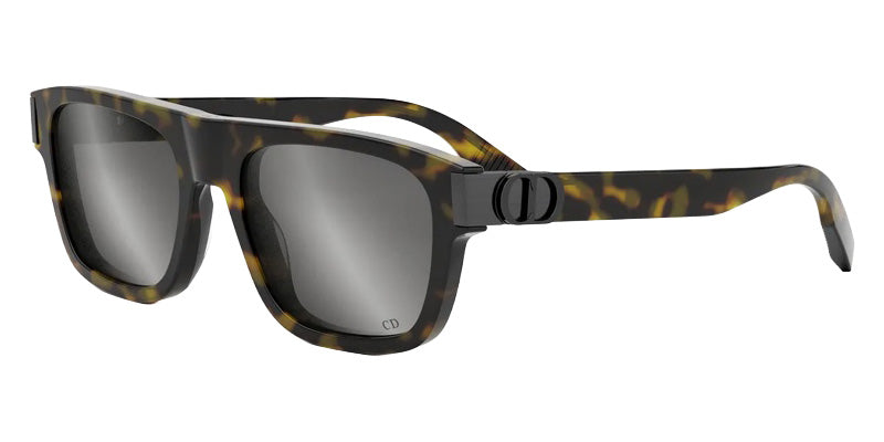 Dior® CD ICON S3I Sunglasses - 20A4