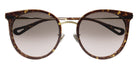 Chloé® CH0060SK CHO CH0060SK 002 56 - Havana/Gold Sunglasses