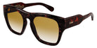 Chloé® CH0149S CHO CH0149S 002 55 - Havana Sunglasses