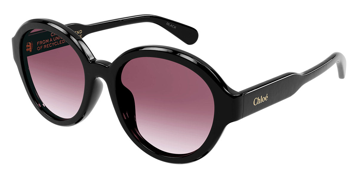 Chloé® CH0156SK Wayfarer Sunglasses - EuroOptica