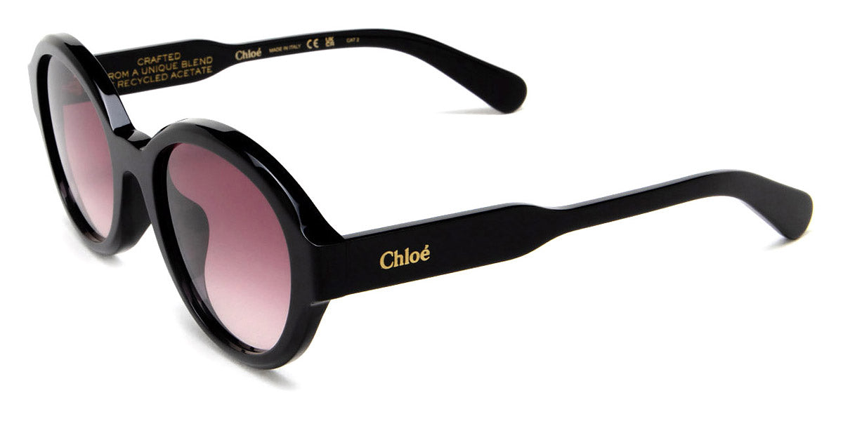 Chloé® CH0156SK Wayfarer Sunglasses - EuroOptica