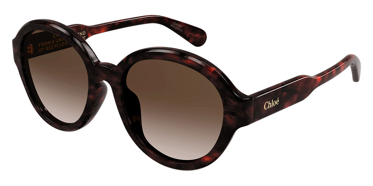 Chloe サングラス Chloé® CH0156SK Wayfarer Sunglasses - EuroOptica