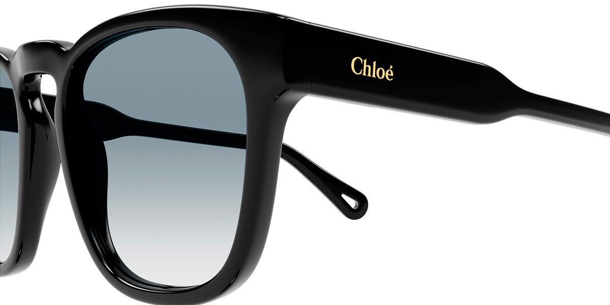 Chloé® CH0160S CHO CH0160S 001 54 - Black Sunglasses