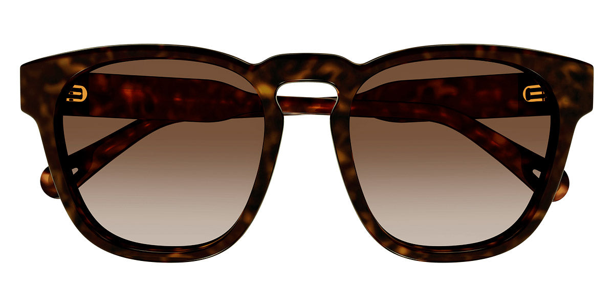 Chloé® CH0160S CHO CH0160S 002 54 - Havana Sunglasses