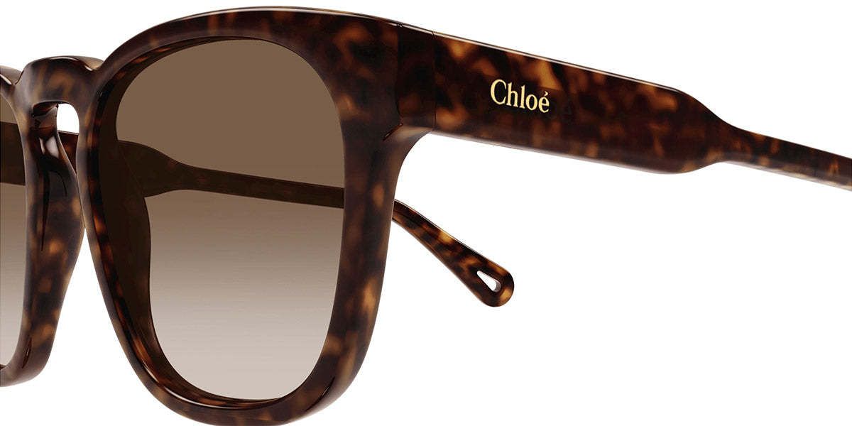 Chloé® CH0160S CHO CH0160S 002 54 - Havana Sunglasses