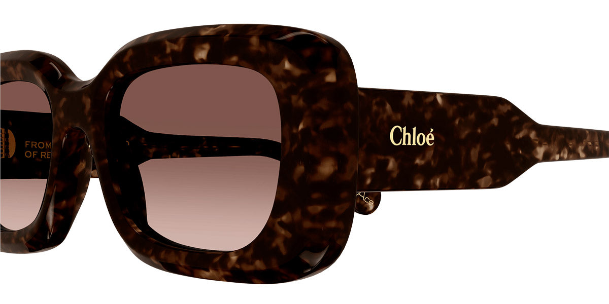Chloé® CH0188S CHO CH0188S 002 51 - Havana Sunglasses