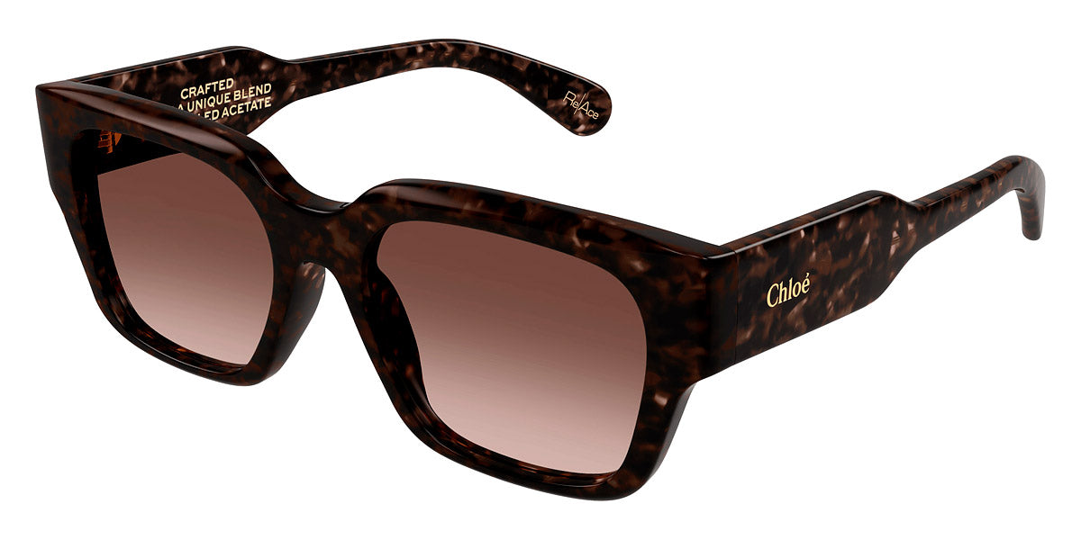 Chloé® CH0190S CHO CH0190S 002 54 - Havana Sunglasses