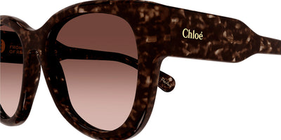 Chloé® CH0192S CHO CH0192S 002 55 - Havana Sunglasses