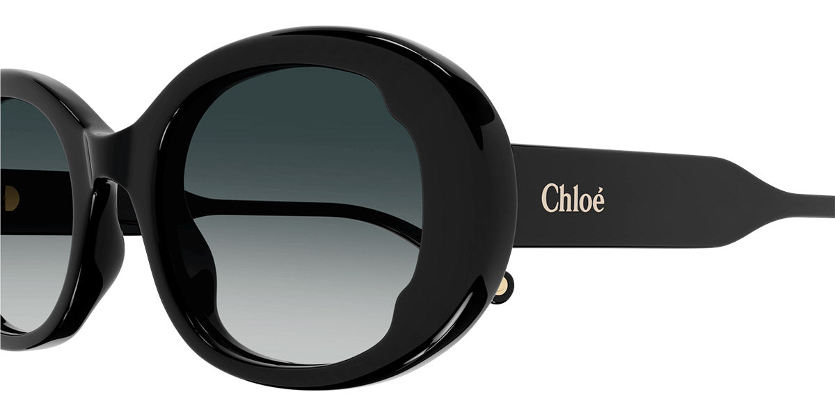 Chloé® CH0197S Butterfly Sunglasses - EuroOptica – EuroOptica™