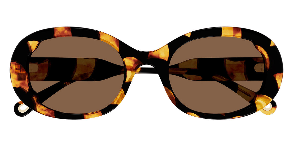 Chloé® CH0197S CHO CH0197S 003 53 - Havana Sunglasses