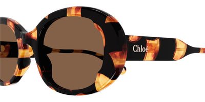 Chloé® CH0197S CHO CH0197S 003 53 - Havana Sunglasses
