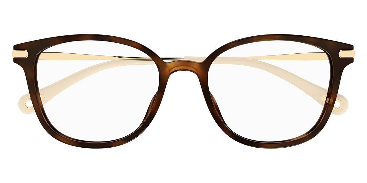 Chloé® CH0219OA CHO CH0219OA 002 53 - Havana/Gold Eyeglasses