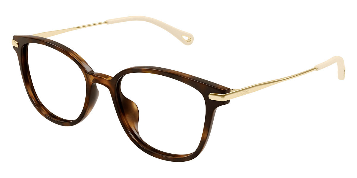 Chloé® CH0219OA CHO CH0219OA 002 53 - Havana/Gold Eyeglasses