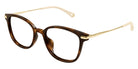 Chloé® CH0219OA CHO CH0219OA 002 53 - Havana/Gold Eyeglasses