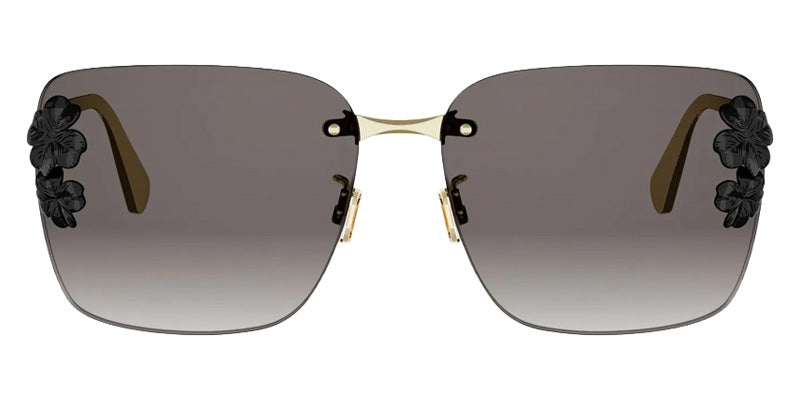 Dior® DIOR CLOVER S2U DIORCLOVERS2UB0A162 Sunglasses - B0A1