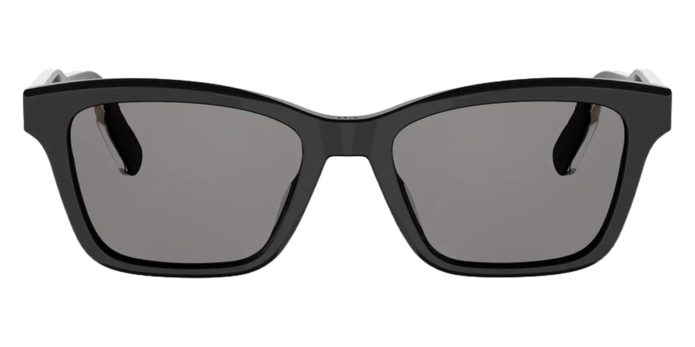 Dior® DIORIBBON S2I Sunglasses - 10A0