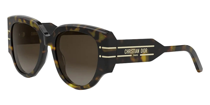 Dior® DIORSIGNATURE R2I Sunglasses - 20F1