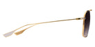 Dita® ALKAMX Sunglasses DT DTS100-A-01 61 - Yellow Gold Silver