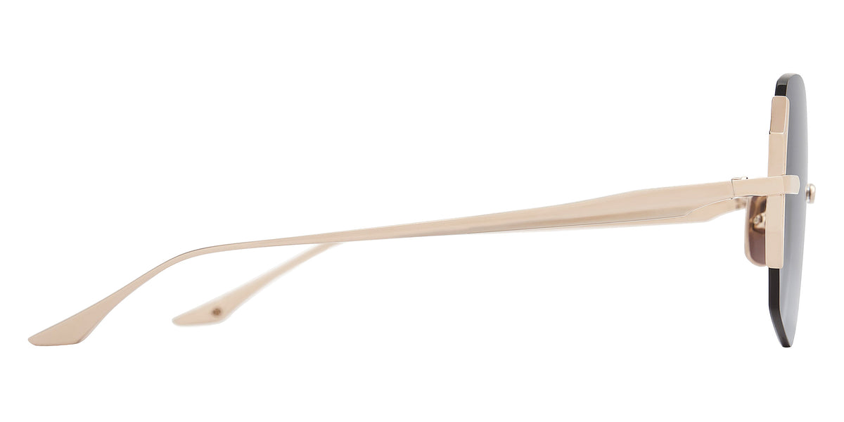Dita® DAHLVIN Sunglasses DT DTS200-A-01 58 - White Gold