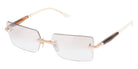 Dita® EYMORI Eyeglasses DT DTX462-A-01 57 - White Gold/Golden Timber