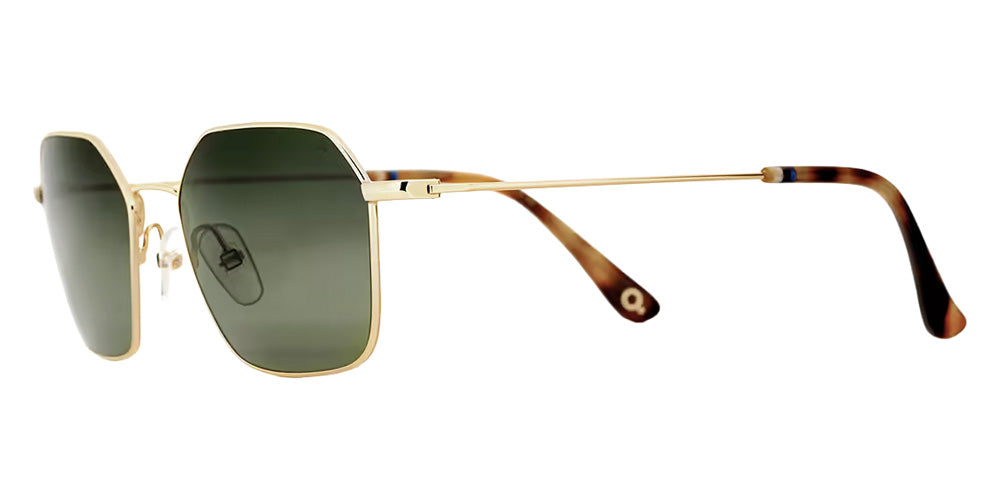 Etnia Barcelona® HUDSON SUN Sunglasses ETB 4 HUDSON 52S GDHV - Golden/Green
