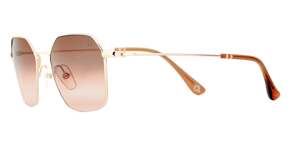 Etnia Barcelona® HUDSON SUN Sunglasses ETB 4 HUDSON 52S PGBR - Pink Gold