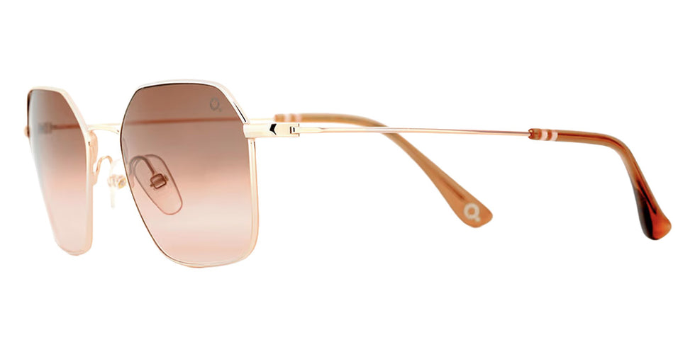 Etnia Barcelona® HUDSON SUN Sunglasses ETB 4 HUDSON 52S PGBR - Pink Gold