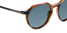 Etnia Barcelona® AMBOY Sunglasses ETB 5 AMBOY 52S HVBK - Havana