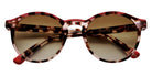 Etnia Barcelona® AVINYO 3 SUN Sunglasses ETB 5 AVINY3 51S HVRD - Havana