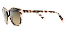 Etnia Barcelona® FERLANDINA SUN Sunglasses ETB 5 FERLANDINA HVPK - Havana