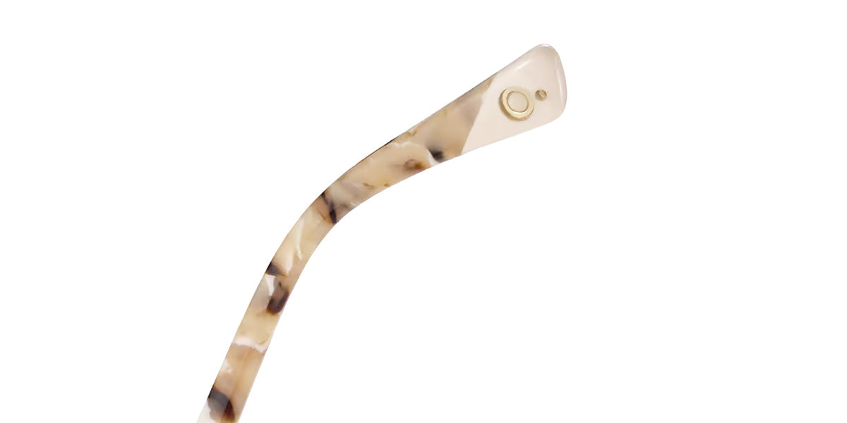 Etnia Barcelona® FLORIDA Sunglasses ETB 5 FLORID 55S BRBE - Brown
