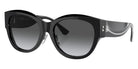 Ferrari® FH2008F Sunglasses - Black/Grey Gradient Polar