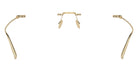 Ferrari® FH3003TD Eyeglasses - Pale Gold