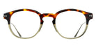 Brett® FRED BRTT FRED-C13-ST 48 - Tortoise Graded Khaki / Silver - C13