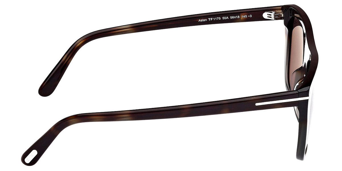 Tom Ford® FT1175 Aslan FT1175 Aslan 55A 56 - 55A - Coloured Havana / Coloured Havana Sunglasses