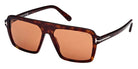 Tom Ford® FT1176 Vincent FT1176 Vincent 52E 56 - 52E - Dark Havana / Dark Havana Sunglasses