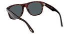Tom Ford® FT1284 Sunglasses - Dark Havana/Green