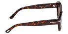 Tom Ford® FT1316 Sunglasses - Dark Havana/Brown