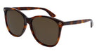 Gucci® GG0024S GUC GG0024S 002 58 - Havana Sunglasses