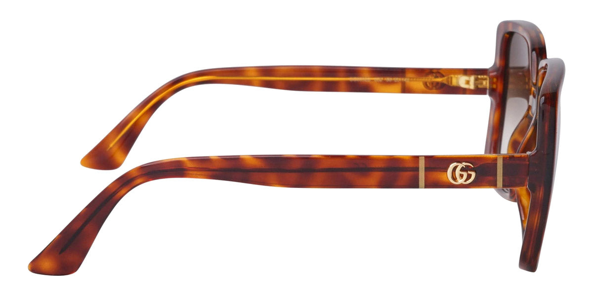 Gucci® GG0632S GUC GG0632S 002 56 - Havana Sunglasses