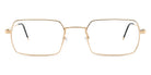 Götti® Abate GOT OP ABATE GLS 50 - Gold Shiny Eyeglasses