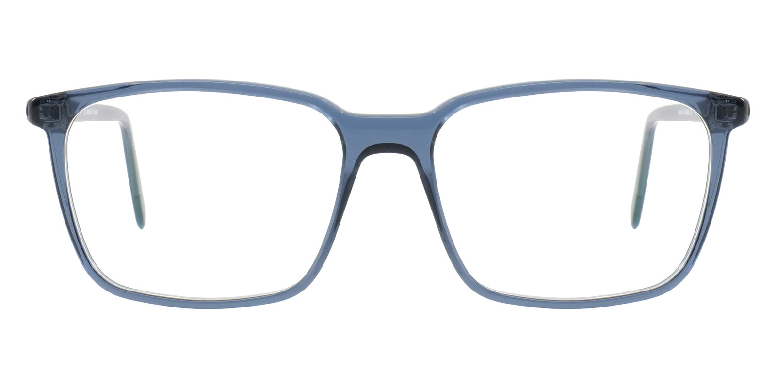 Götti® SALAZAR GOT SALAZAR DTG 55 - Transparent dark grey Eyeglasses