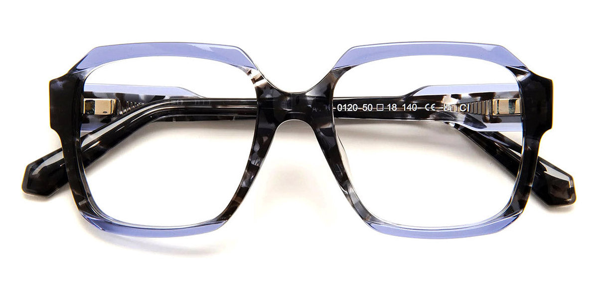 J.F. Rey® PA105 JFR PA105 0120 50 - 0120 Nice Black/Blue Eyeglasses