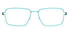 Lindberg® Air Titanium Rim™ Aaron LIN ATR Aaron Basic-80-80-P10 54 - Basic-80-80 Eyeglasses