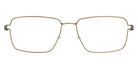 Lindberg® Air Titanium Rim™ Aaron LIN ATR Aaron Basic-P35-P35-P10 54 - Basic-P35-P35 Eyeglasses