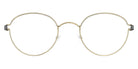 Lindberg® Air Titanium Rim™ Bo LIN ATR Bo Basic-PGT-PGT-P10 45 - Basic-PGT-PGT Eyeglasses
