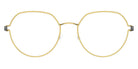 Lindberg® Air Titanium Rim™ Gillian LIN ATR Gillian Basic-GT-GT-P10 47 - Basic-GT-GT Eyeglasses